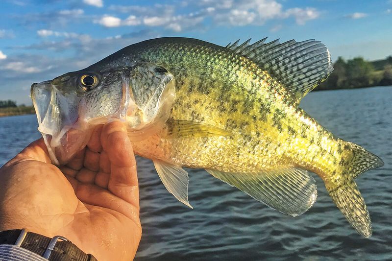 Milford Lake, Kansas