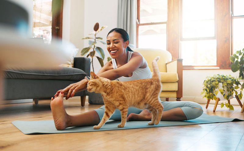 Feline Fitness Partners