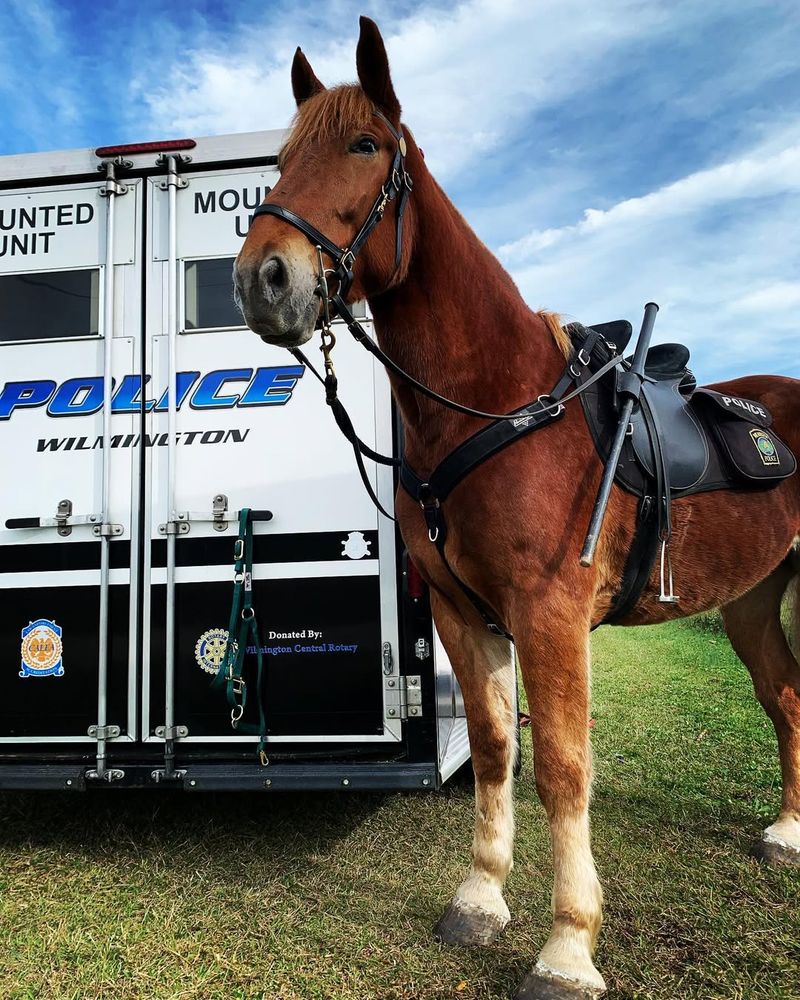 Mounted Police