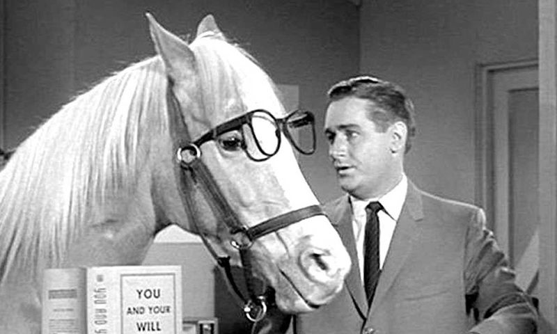 Mr. Ed