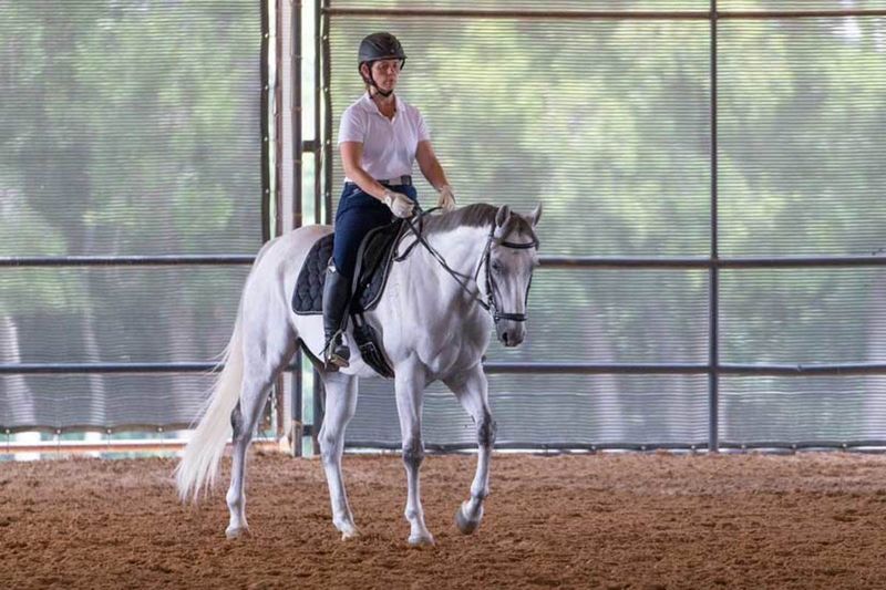 Off-Track Quarter Horses