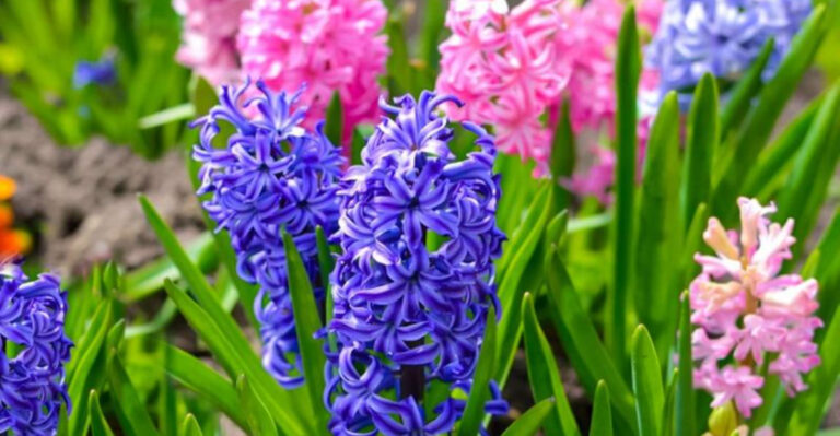 Want To Keep Squirrels From Eating Your Garden? Here's 9 Plants That Can Help Deter Them