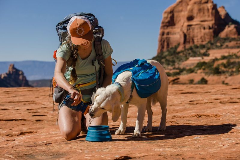 Pack Dog Essentials