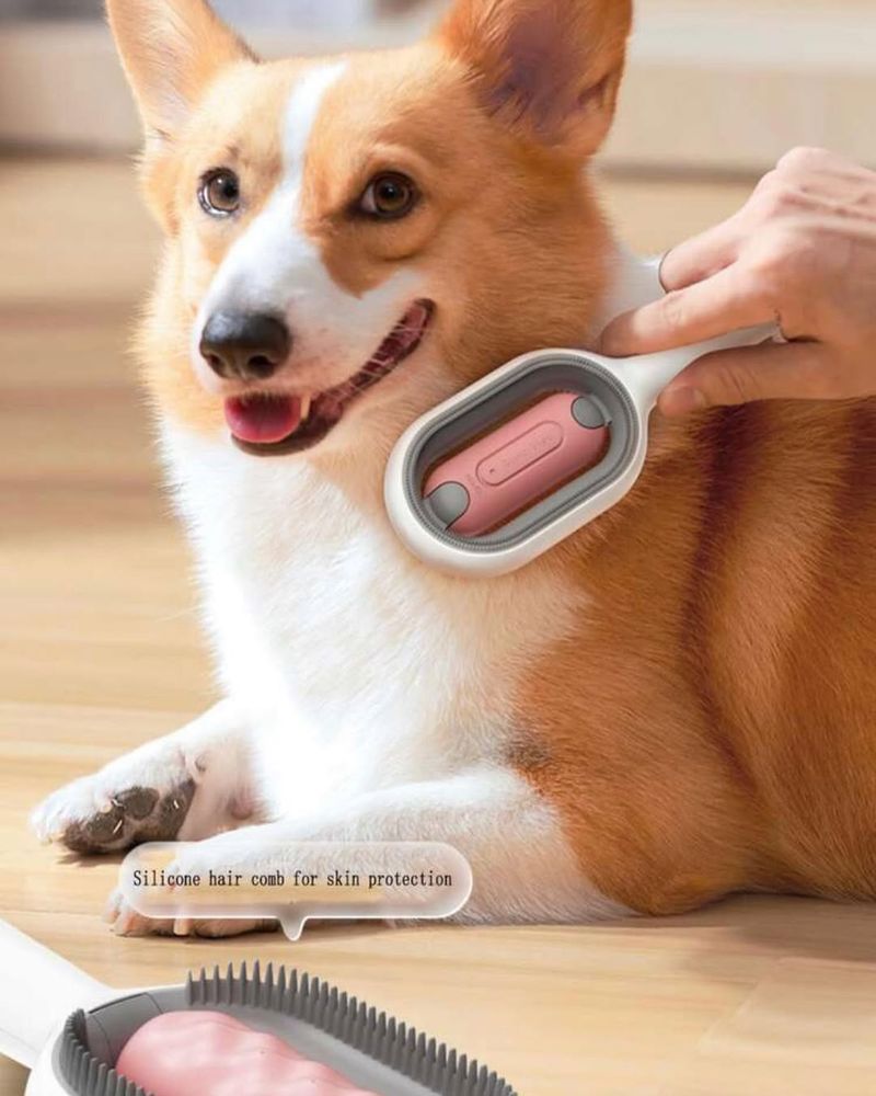 Pet Hair Remover