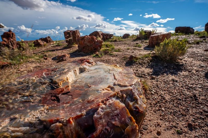 Petrified Forest National Park, Arizona