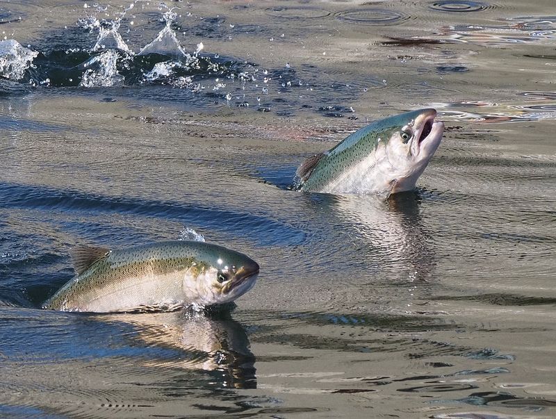 Pollution Is Messing With Their Water