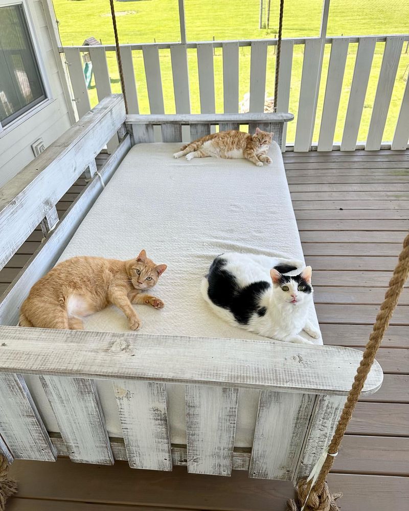 Porch Swings