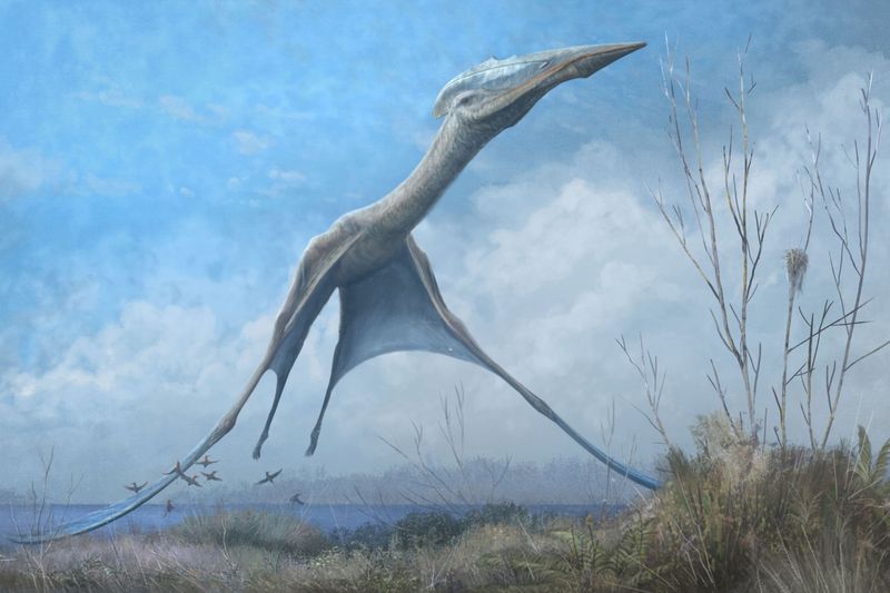 Pterosaur Cultural Impact