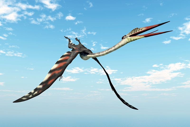 Pterosaur Diet and Hunting