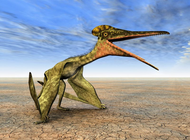 Pterosaur Flight Mechanics