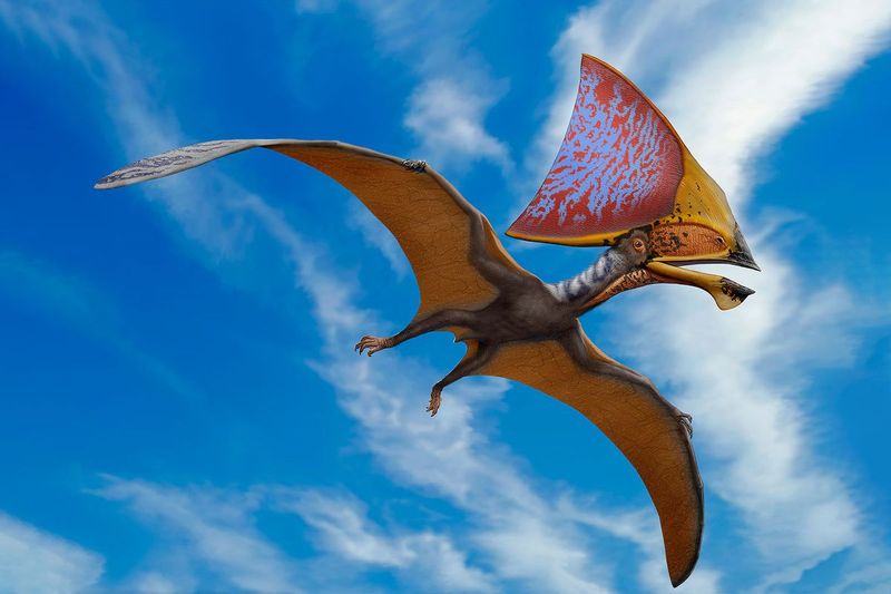 Pterosaurs and Modern Birds