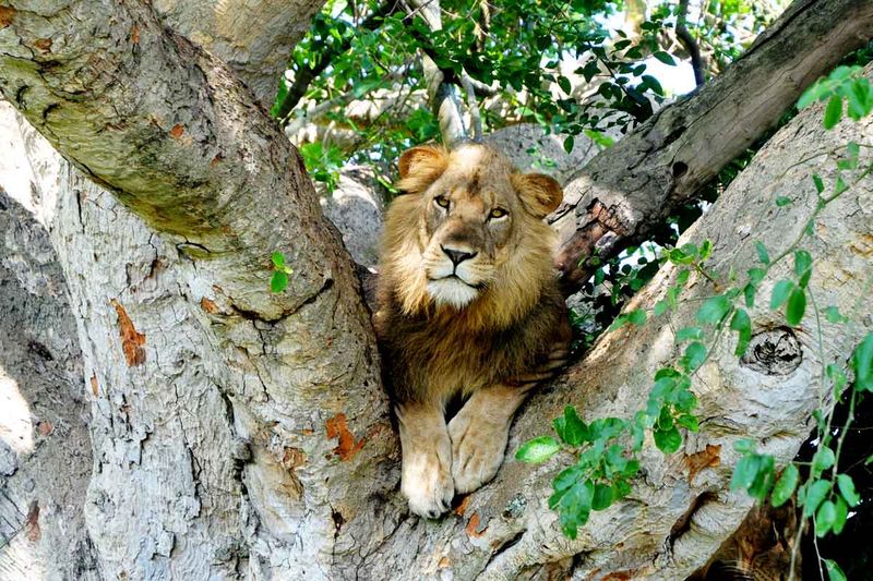 Queen Elizabeth National Park, Uganda