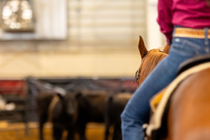 Ranch Sorting