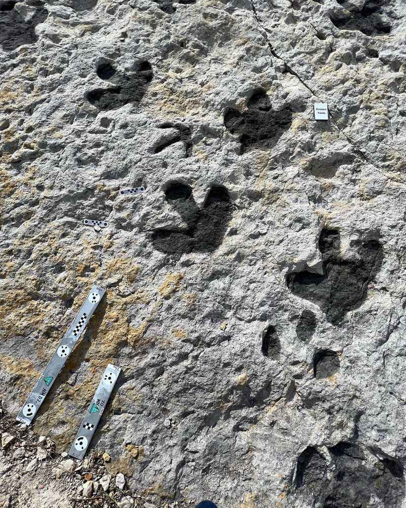 Red Gulch Dinosaur Tracksite, Wyoming