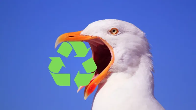 Reduce, Reuse, Recycle