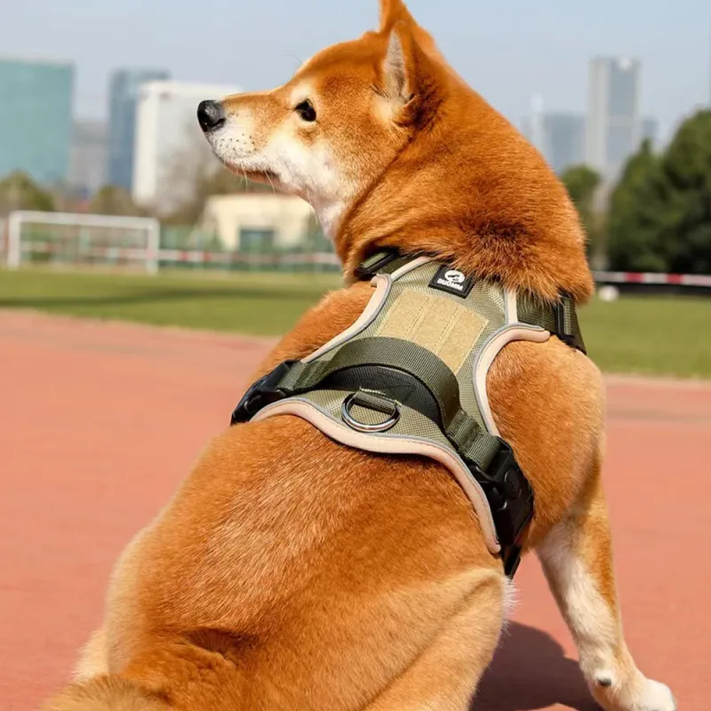 Reflective Dog Harness