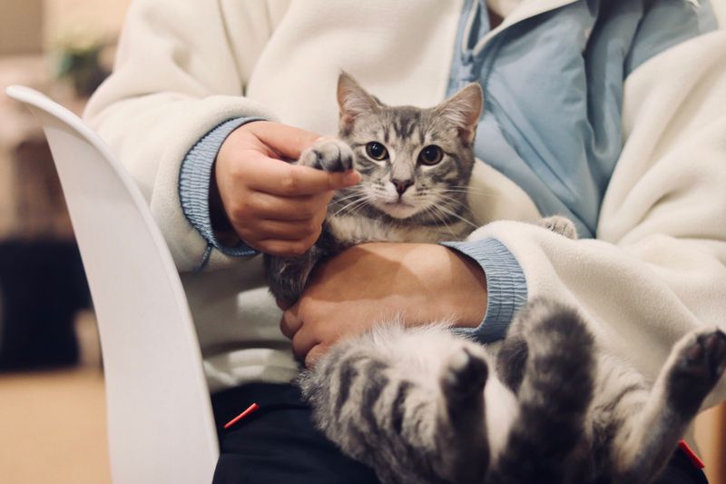 Regular Veterinary Check-Ups