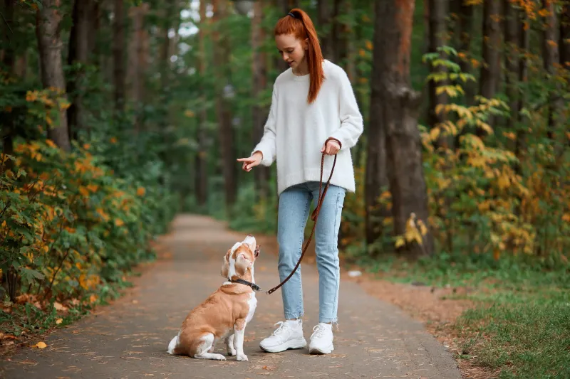 Respecting Wildlife Boundaries