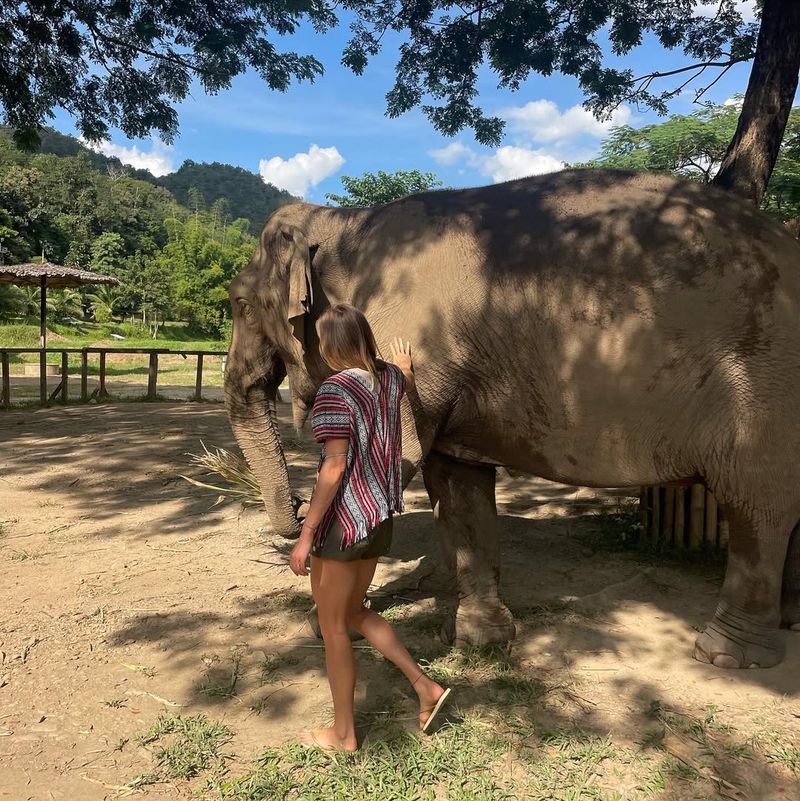 Riding Elephants Ethically In Thailand