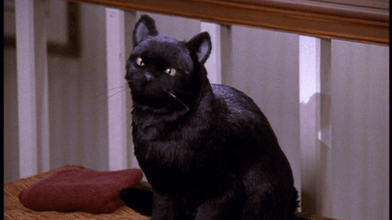 Salem Saberhagen