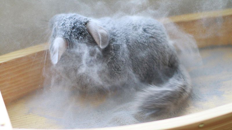 Sand Bathing Rituals