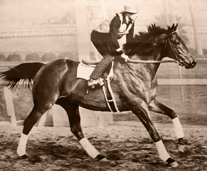 Seabiscuit: The Underdog Champion