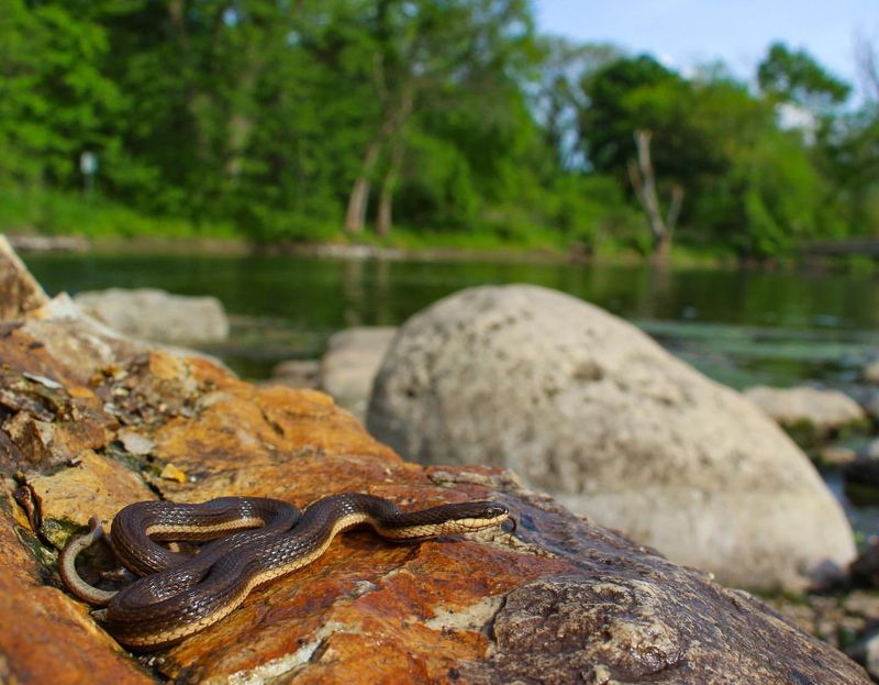 Snake River