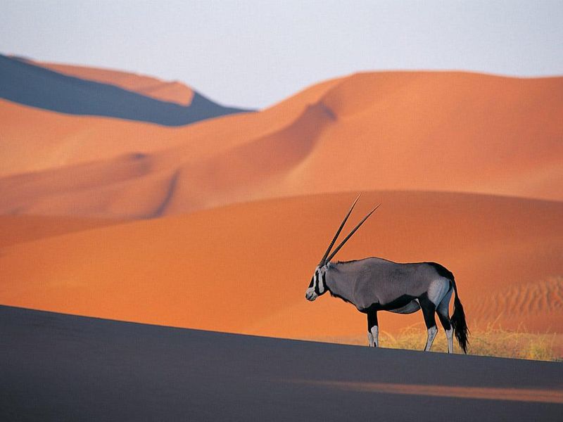 Sossusvlei, Namibia