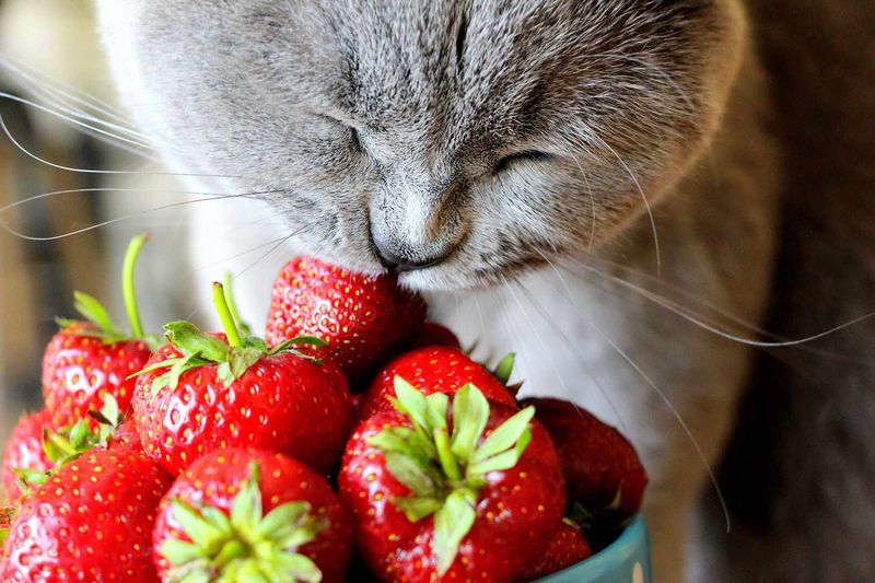 Strawberries