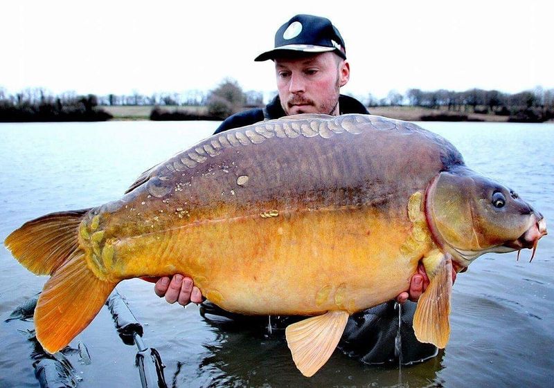 The Colossal Carp Catch