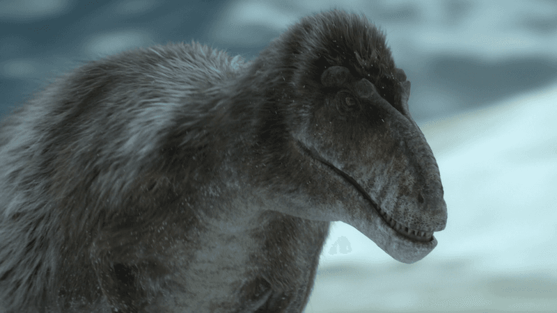 The Discovery of Nanuqsaurus