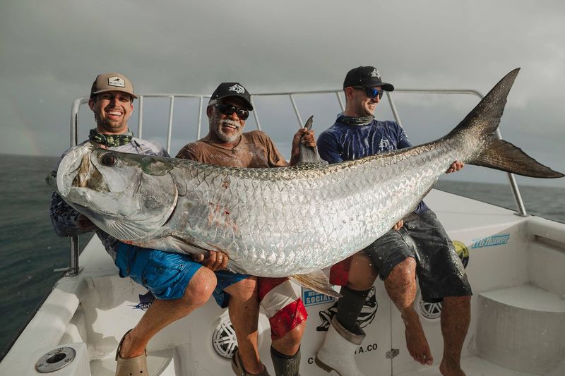 The Enormous Tarpon Triumph