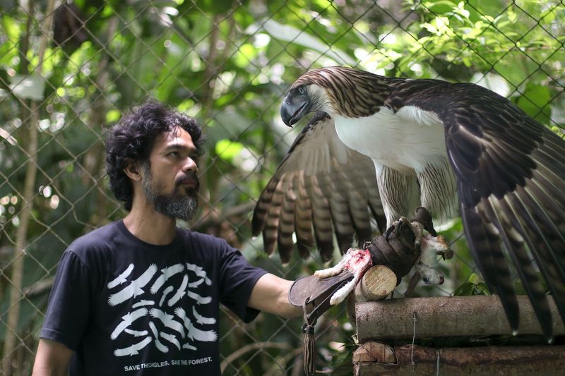 The First Philippine Eagle Bred In Captivity Was Named 