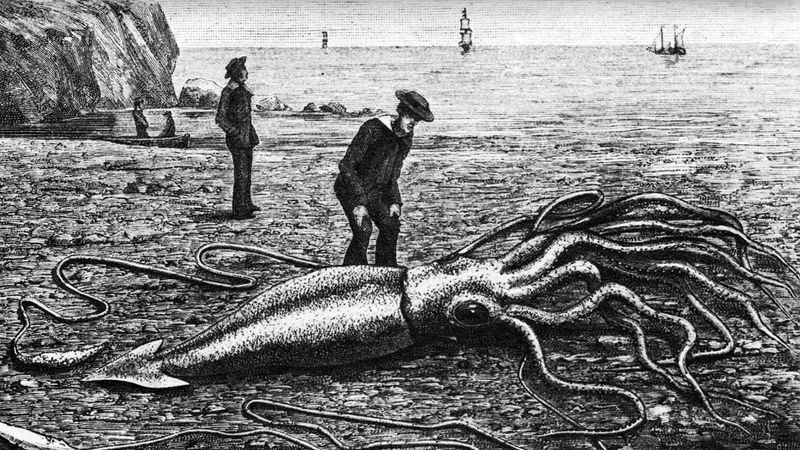 The Giant Squid Revealed