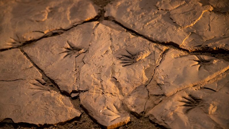 The Prehistoric Trackways National Monument, New Mexico