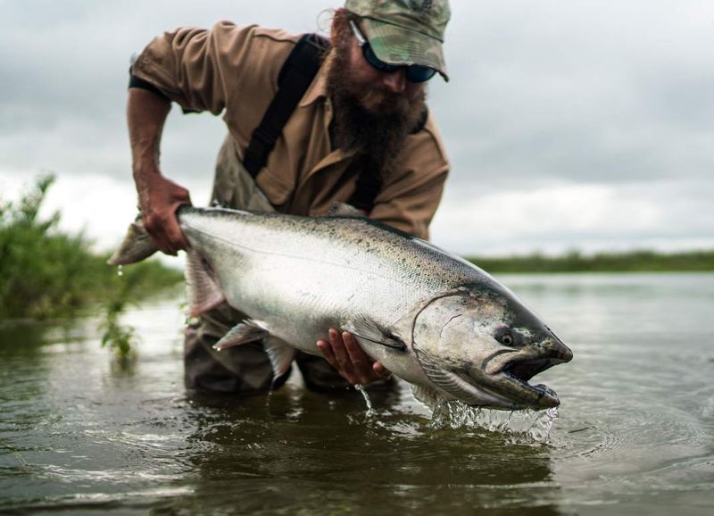 The Unnamed Fisherman's Alaskan Salmon Surprise