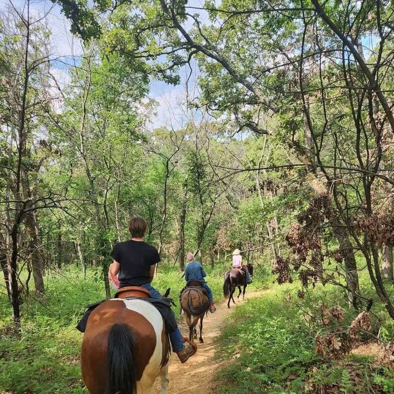 Therapeutic Riding