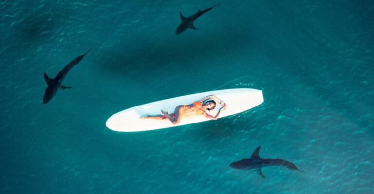 These Are The 6 Colors That Attract Sharks