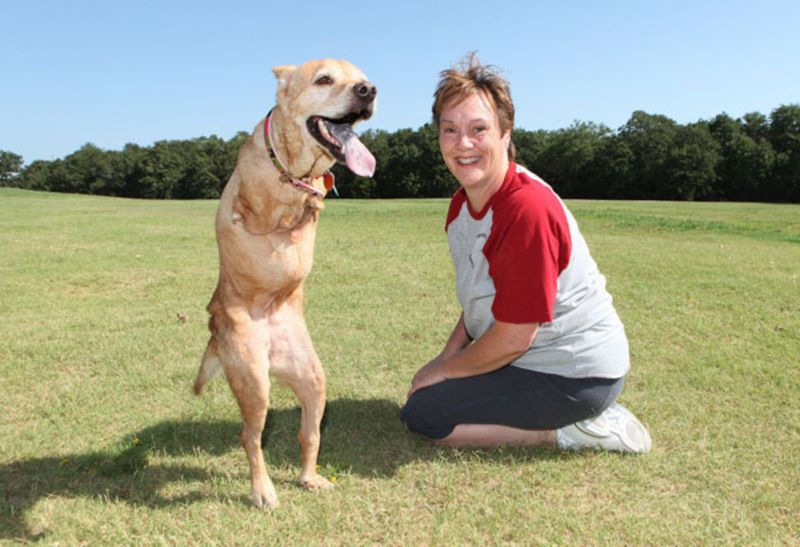 Faith The Wonder Dog