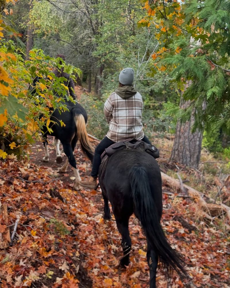 Trail Riding