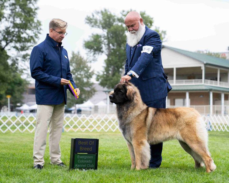 Training and Obedience