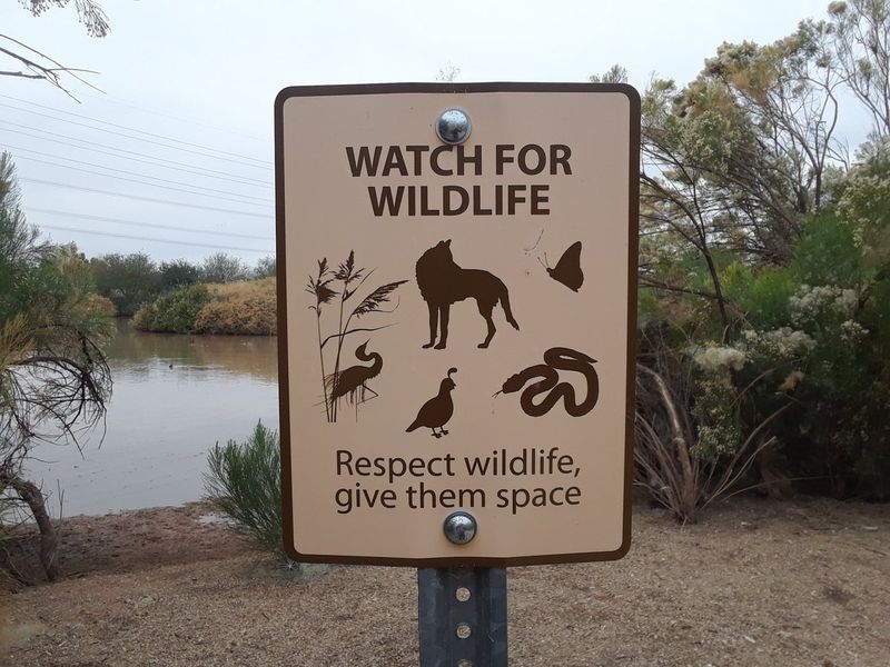 Understanding Wildlife Signs