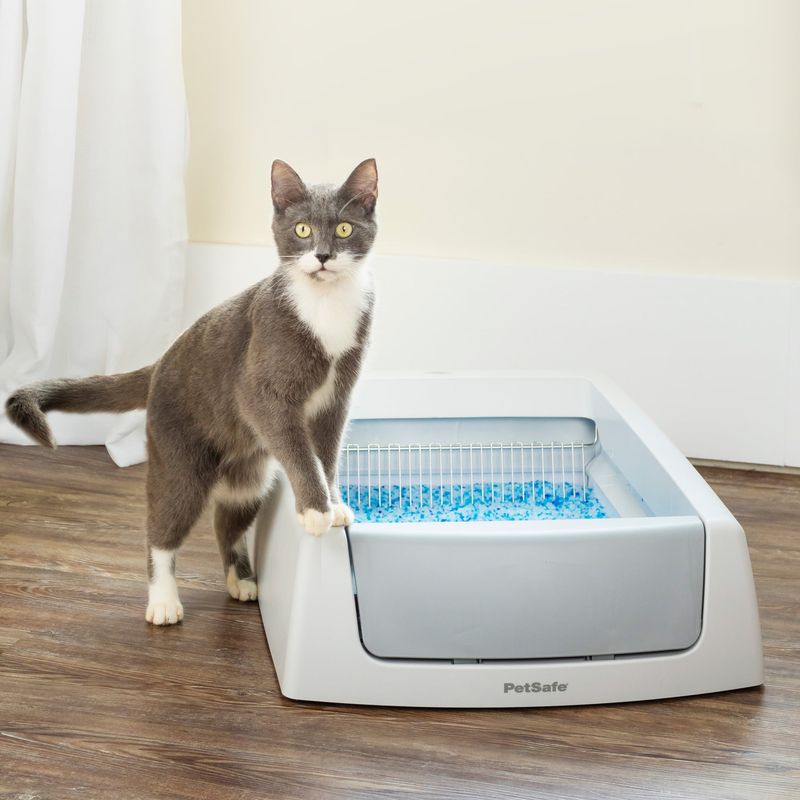 Use A Bigger Litter Box Than You Think You Need