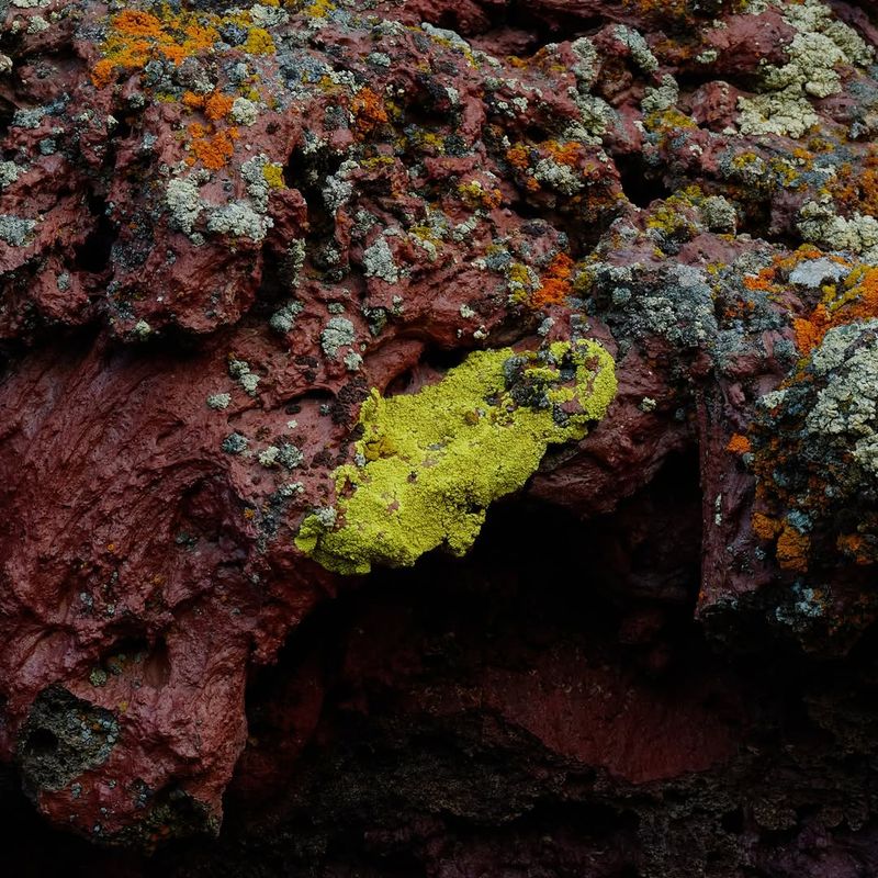 Volcanic Algae