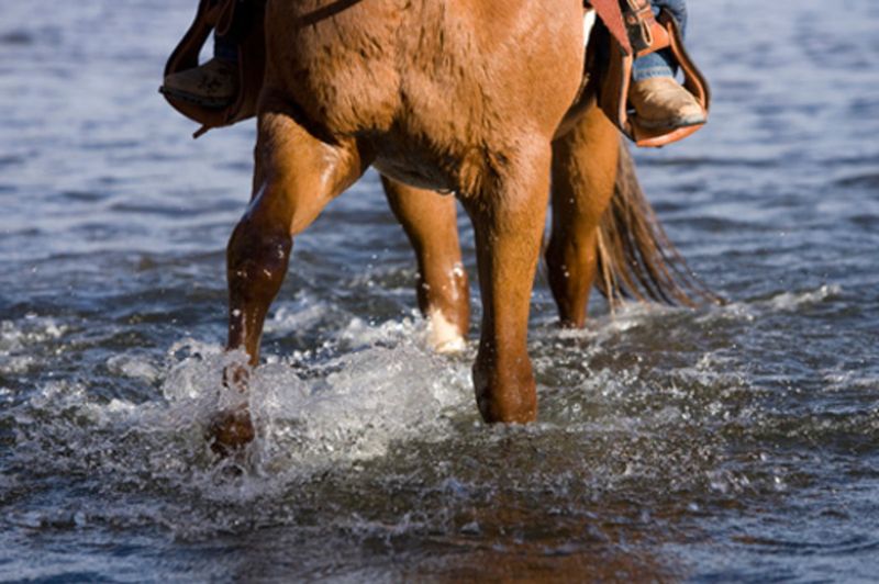 Water Crossing