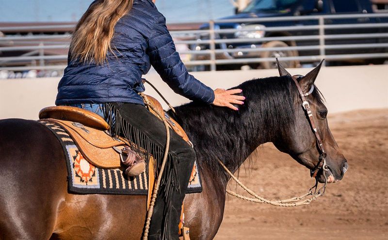 Western Riding Competitions