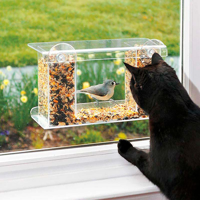 Window Bird Feeder