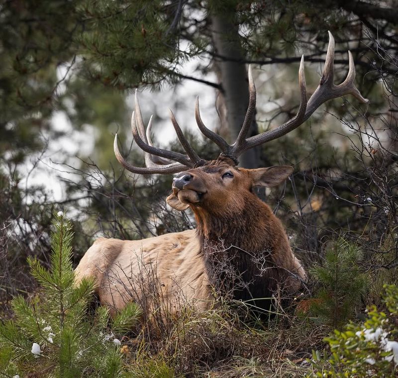 Wyoming