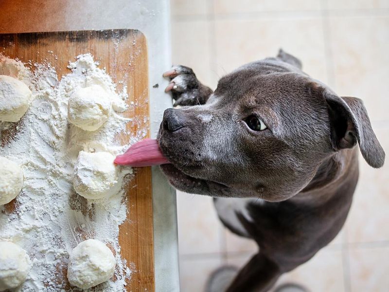 Yeast Dough