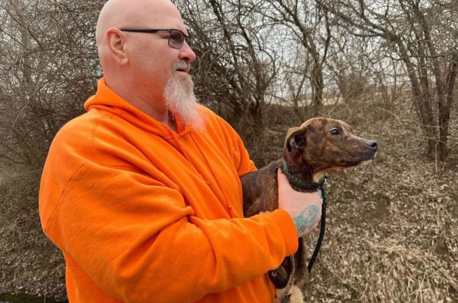 bald man and black puppy